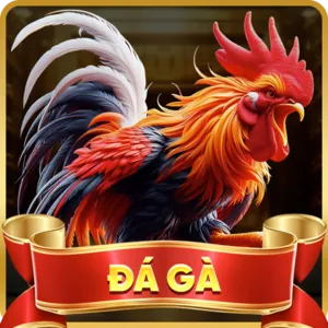 Đá Gà Trực Tuyến iwin